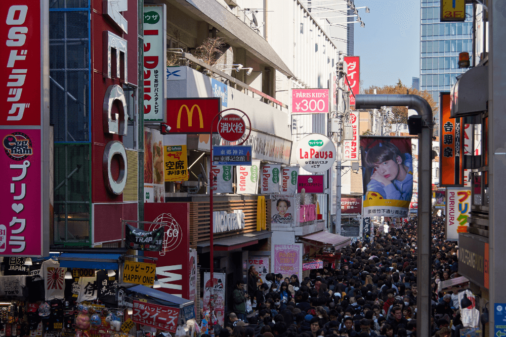 たけのこ族の起源と歴史