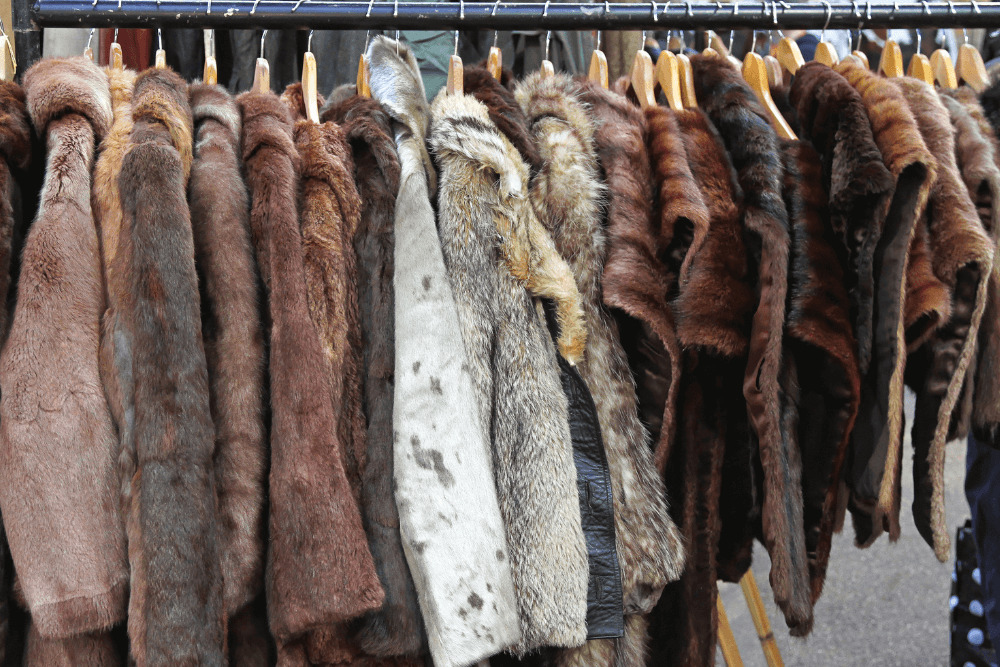 ファー素材の魅力と現代的な視点