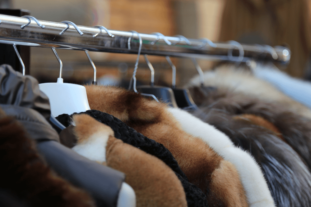 まとめ：ファーは素材の理解と時代性のバランスが鍵